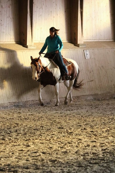 Horsemanship et Trail avec Anissa Barras - 15 et 29 novembre 2015