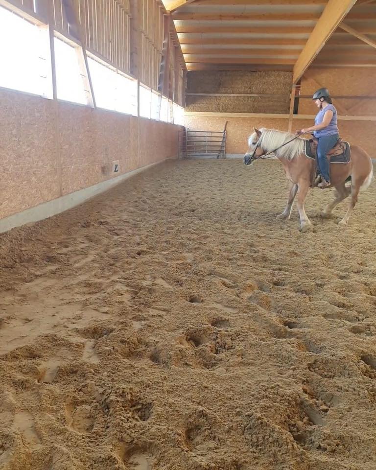 Stage de Working Cow Horse avec Sandra Jordan