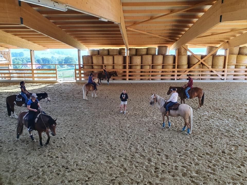 Stage de Working Cow Horse avec Sandra Jordan