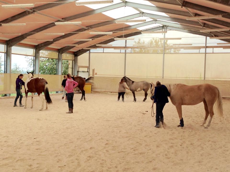 Trail in hand avec Anissa Barras - 13 septembre 2015