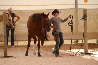 Trail in hand avec Anissa Barras - 13 septembre 2015
