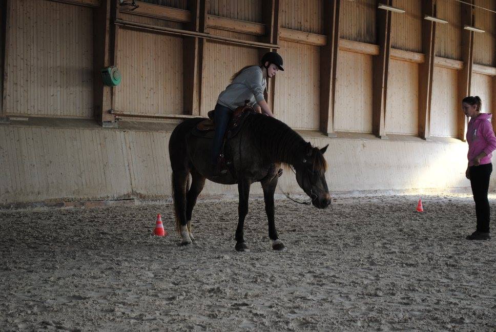 Horsemanship et Trail avec Anissa Barras - 15 et 29 novembre 2015