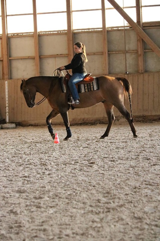 Horsemanship et Trail avec Anissa Barras - 15 et 29 novembre 2015