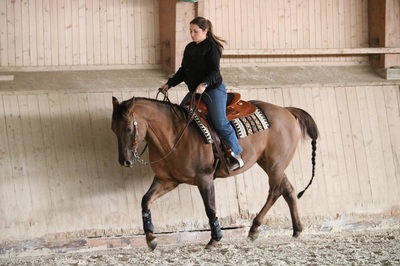 Horsemanship et Trail avec Anissa Barras - 15 et 29 novembre 2015