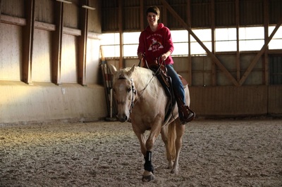 Horsemanship et Trail avec Anissa Barras - 15 et 29 novembre 2015