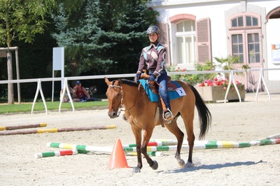 Show RWRA 2016 à Avenches - 30 juillet 2016