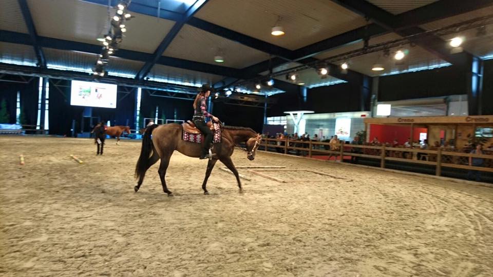 Comptoir Suisse 2016