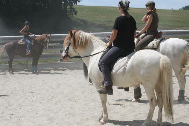 Stage de Ranch Cutting avec Fred Gumy - 12 juillet 2015