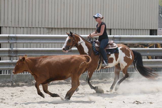 Stage de Ranch Cutting avec Fred Gumy - 12 juillet 2015