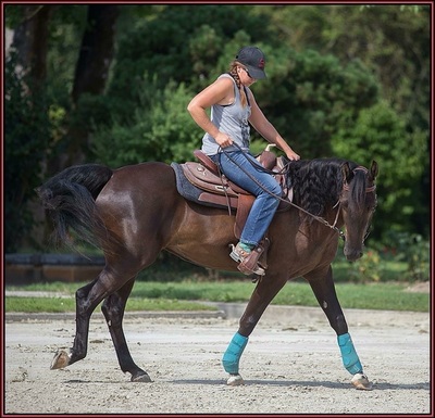 Stage de Reining avec Sandra Jordan - 8 août 2015