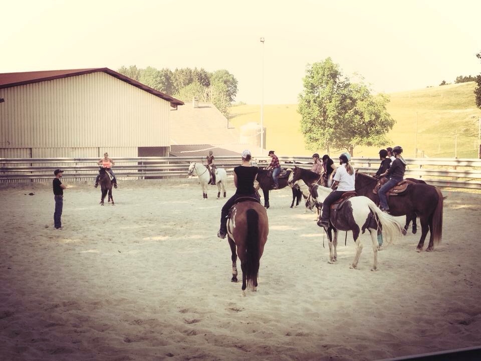 Stage de Ranch Cutting avec Fred Gumy - 12 juillet 2015