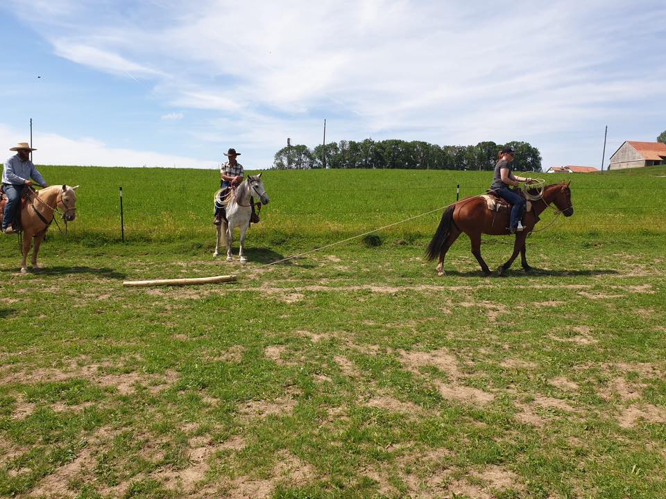 Stage de Bosal & Roping avec Alexandre et Annik Valet à Maules - 23 juin 2019