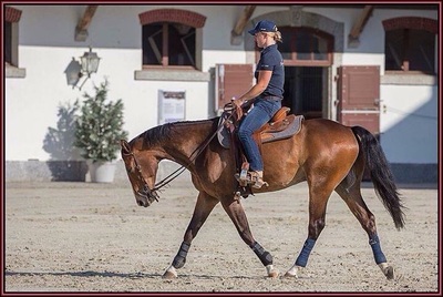 Stage de Reining avec Sandra Jordan - 8 août 2015