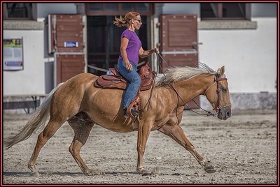 Stage de Reining avec Sandra Jordan - 8 août 2015