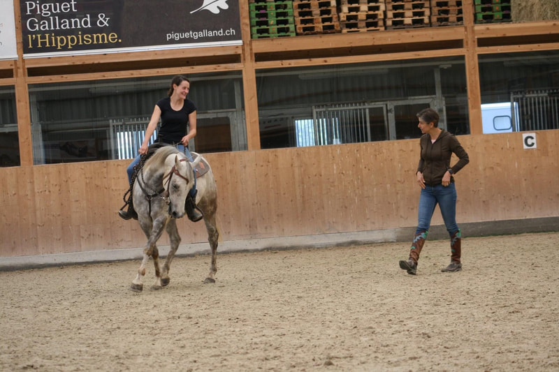 Stage All Around avec Elif Schleiniger, multiple championne de Suisse et d'Europe