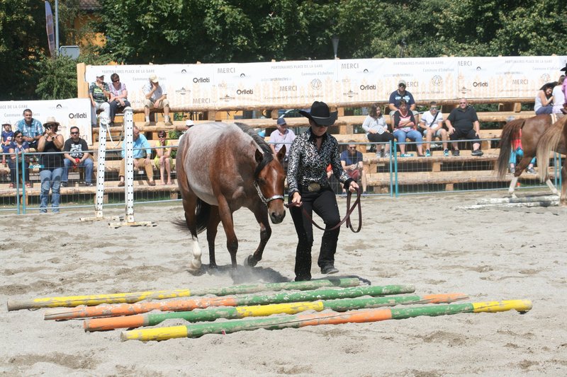 Démonstrations de la RWRA à la Fêtes du blé et du pain à Echallens - Août 2018