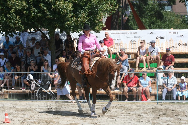 Démonstrations de la RWRA à la Fêtes du blé et du pain à Echallens - Août 2018