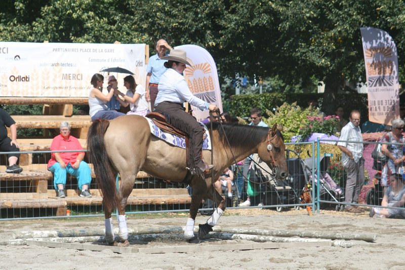 Démonstrations de la RWRA à la Fêtes du blé et du pain à Echallens - Août 2018