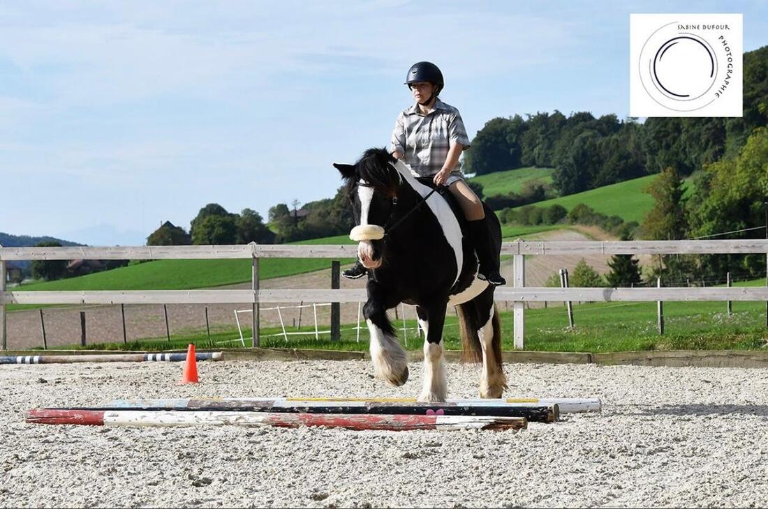 Concours RWRA 2025