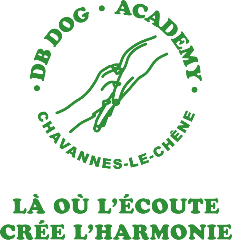 DB Dog Academy