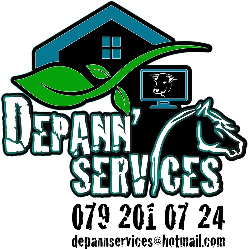 Depann'Services