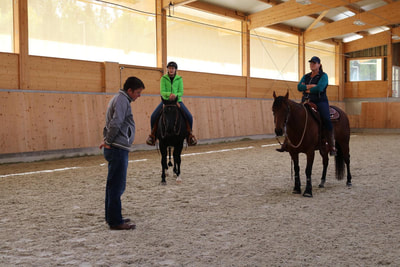 Stage de bosal et Ranch Riding avec Olivier Fasel - 7 octobre 2017