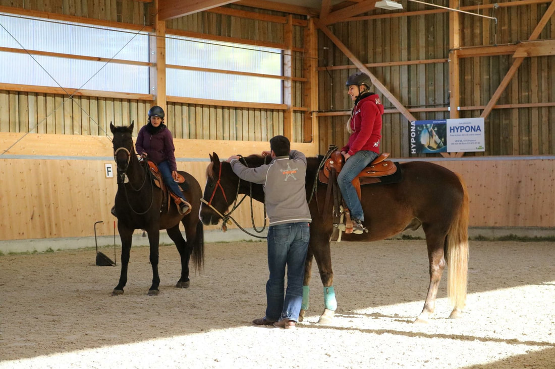 Stage de bosal et Ranch Riding avec Olivier Fasel - 7 octobre 2017
