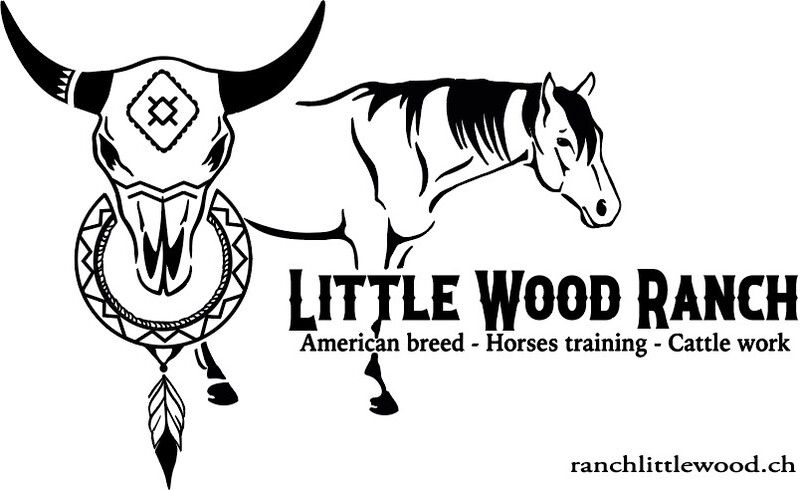 Little Wood Ranch