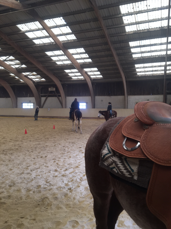 Stage de All Around avec Ben Fisher chez BB Quarter Horses à La Sarraz - 13 avril 2019