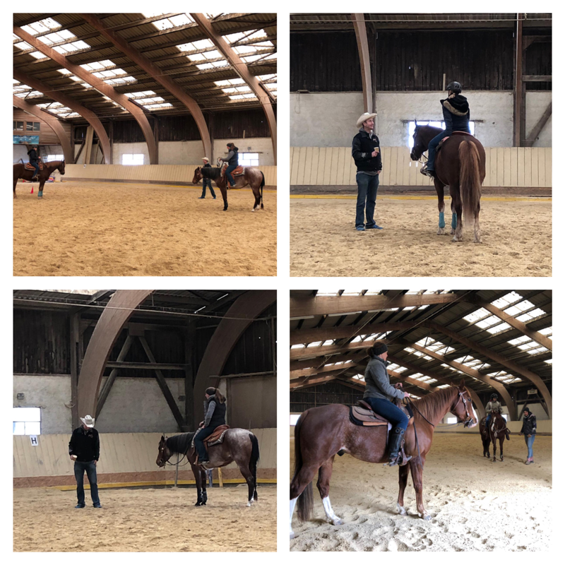 Stage de All Around avec Ben Fisher chez BB Quarter Horses à La Sarraz - 13 avril 2019