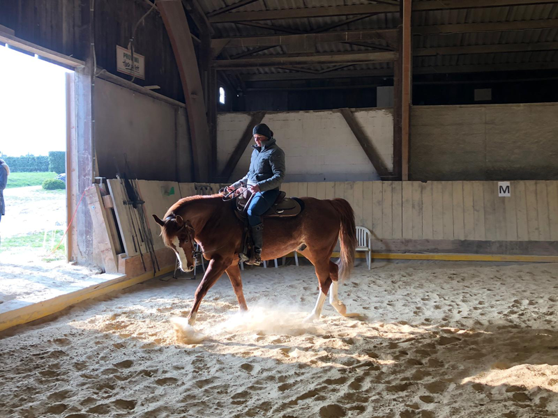 Stage de All Around avec Ben Fisher chez BB Quarter Horses à La Sarraz - 13 avril 2019