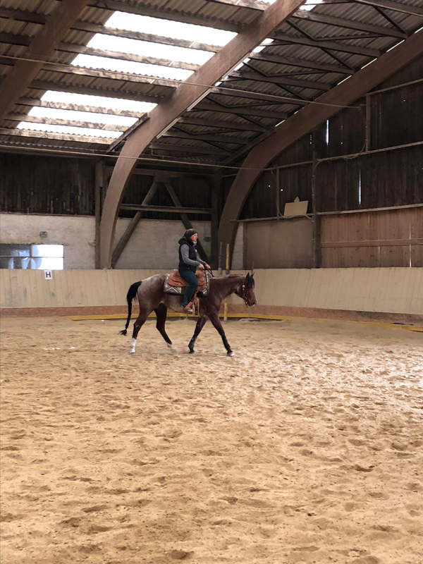 Stage de All Around avec Ben Fisher chez BB Quarter Horses à La Sarraz - 13 avril 2019