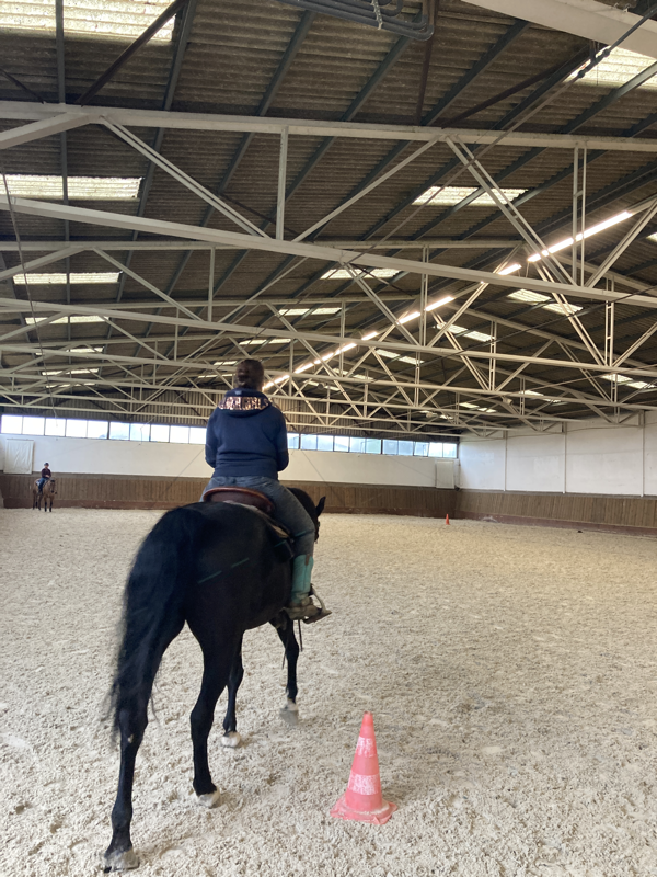 Stage RIDE THE PATTERN - Horsemanship/Pleasure - Ranch Riding avec Elodie Bays