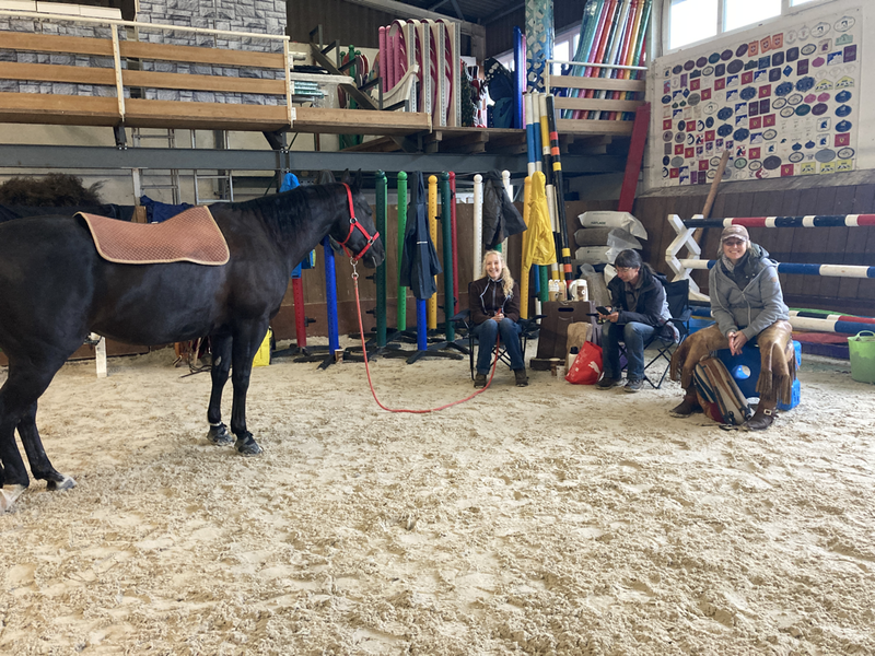 Stage RIDE THE PATTERN - Horsemanship/Pleasure - Ranch Riding avec Elodie Bays