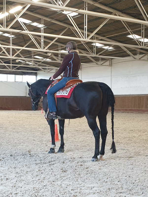 Stage RIDE THE PATTERN - Horsemanship/Pleasure - Ranch Riding avec Elodie Bays