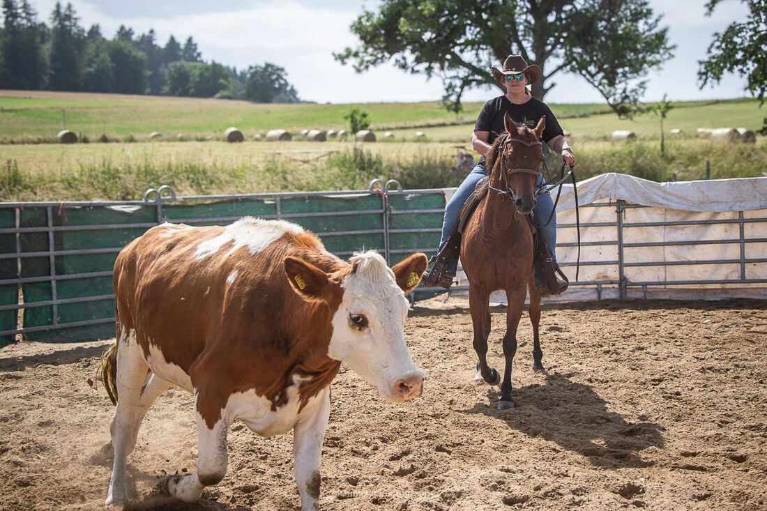 Stage Ranch Riding 2025