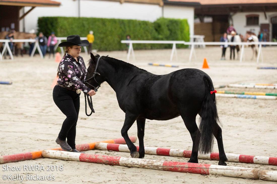 Show RWRA à Avenches - 2 septembre 2018
