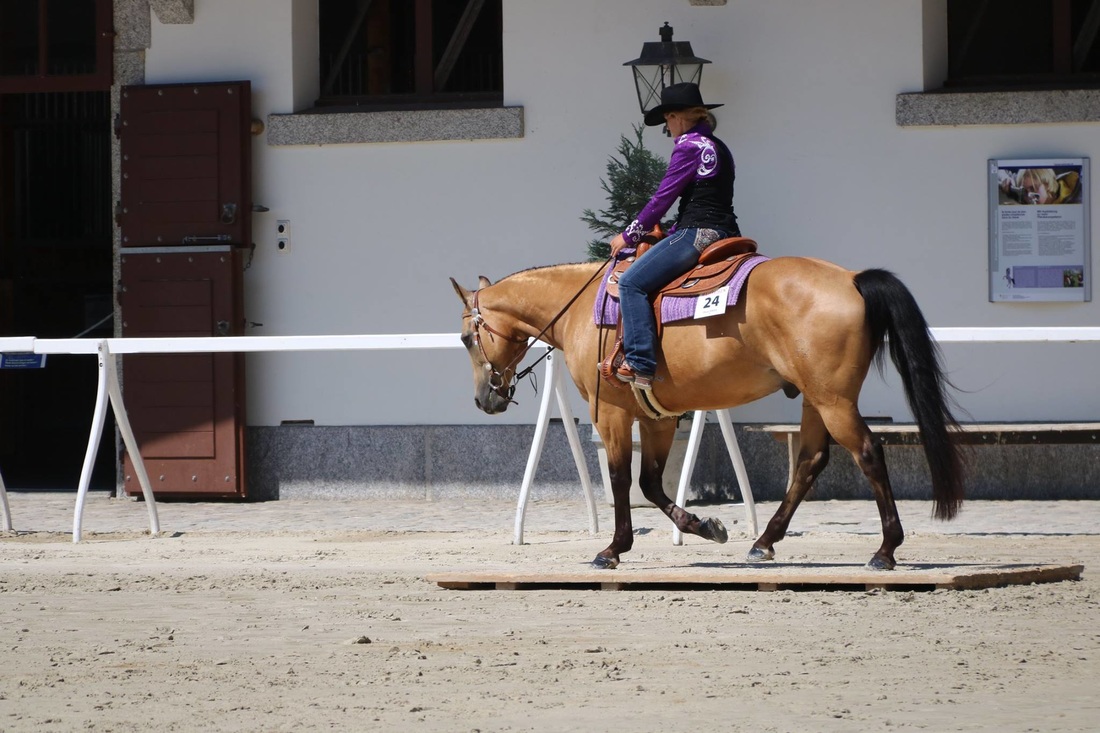 Concours 2016