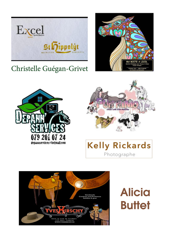 Sponsors 2019